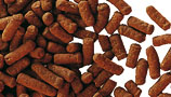 Truffle Pellets Thick Coated